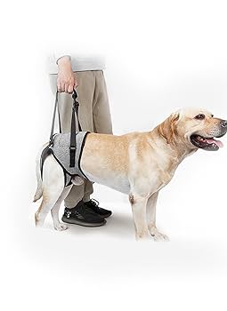 犬歩行補助ハーネス　まりあ様 犬用介護ハーネス S 犬 犬歩行補助ハーネス 歩行補助 老犬